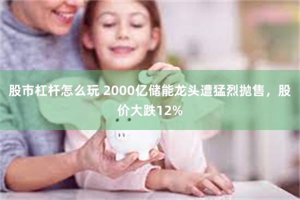 股市杠杆怎么玩 2000亿储能龙头遭猛烈抛售，股价大跌12%