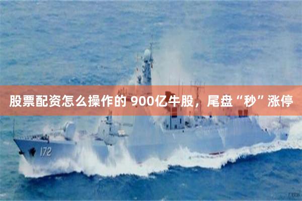 股票配资怎么操作的 900亿牛股，尾盘“秒”涨停