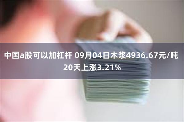 中国a股可以加杠杆 09月04日木浆4936.67元/吨 20天上涨3.21%