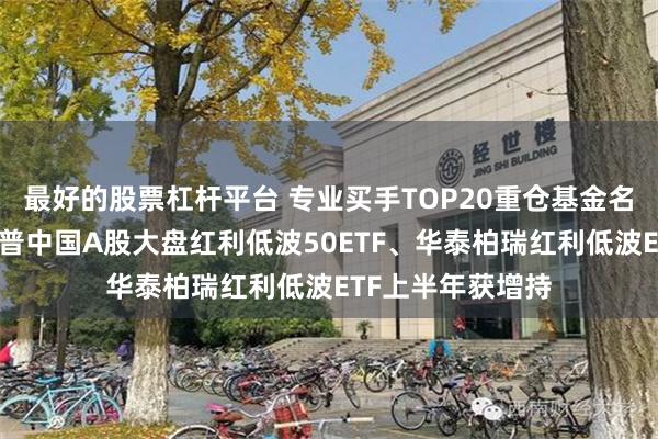 最好的股票杠杆平台 专业买手TOP20重仓基金名单解码：南方标普中国A股大盘红利低波50ETF、华泰柏瑞红利低波ETF上半年获增持