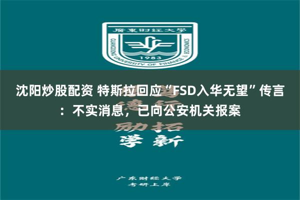 沈阳炒股配资 特斯拉回应“FSD入华无望”传言：不实消息，已向公安机关报案