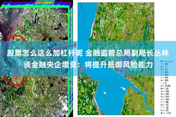 股票怎么这么加杠杆呢 金融监管总局副局长丛林谈金融央企增资：将提升抵御风险能力