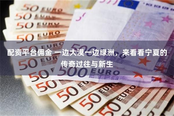 配资平台佣金 一边大漠一边绿洲，来看看宁夏的传奇过往与新生