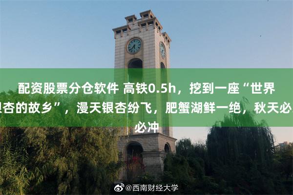 配资股票分仓软件 高铁0.5h，挖到一座“世界银杏的故乡”，漫天银杏纷飞，肥蟹湖鲜一绝，秋天必冲