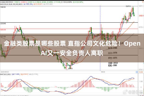 金融类股票是哪些股票 直指公司文化危险！OpenAI又一安全负责人离职