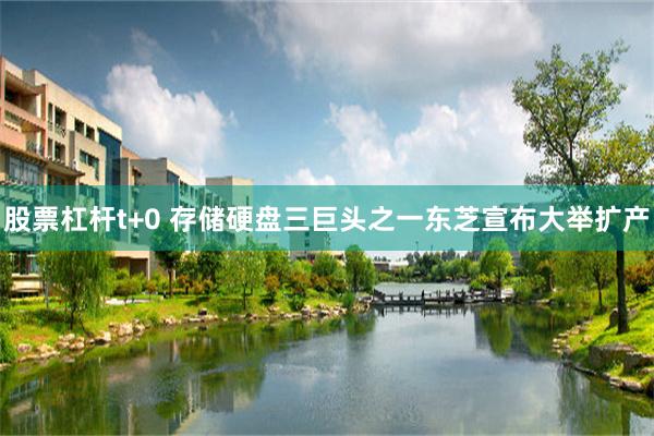 股票杠杆t+0 存储硬盘三巨头之一东芝宣布大举扩产