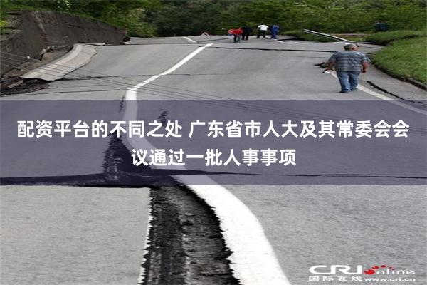 配资平台的不同之处 广东省市人大及其常委会会议通过一批人事事项