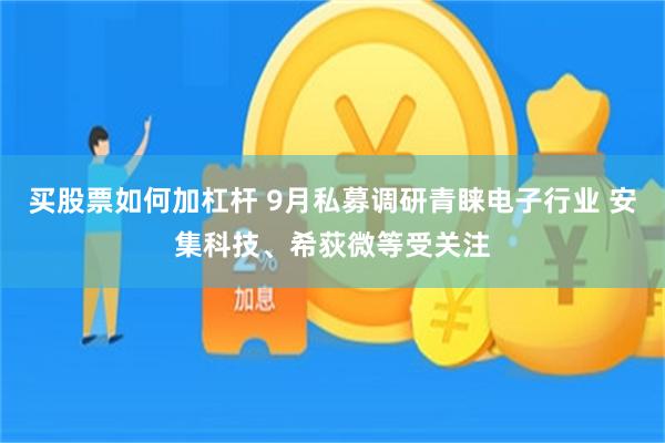 买股票如何加杠杆 9月私募调研青睐电子行业 安集科技、希荻微等受关注