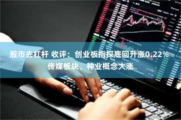 股市去杠杆 收评：创业板指探底回升涨0.22% 传媒板块、种业概念大涨