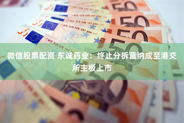 微信股票配资 东诚药业：终止分拆蓝纳成至港交所主板上市