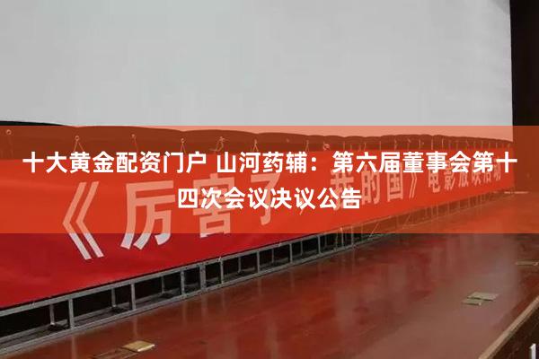 十大黄金配资门户 山河药辅：第六届董事会第十四次会议决议公告