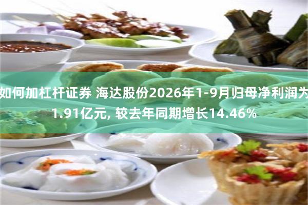 如何加杠杆证券 海达股份2026年1-9月归母净利润为1.91亿元, 较去年同期增长14.46%