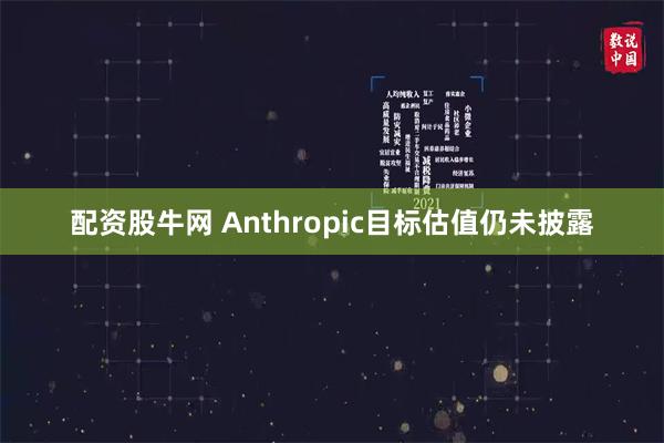 配资股牛网 Anthropic目标估值仍未披露